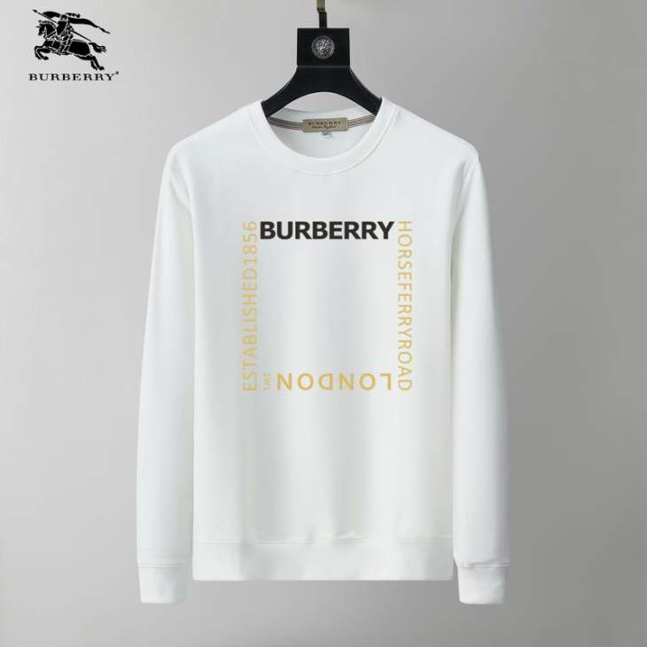 Picture of Burberry Sweatshirt _SKUBurberryM-3XL25tx14730792